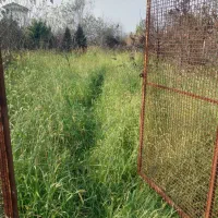 1000-متر-زمین-در-باغچه-سرا