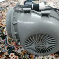فن حلزونی. فن.