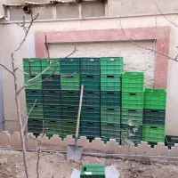 سبد پلاستیکی