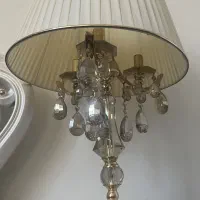 آباژور زیبا و پرکار