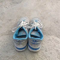 کفش|کیف، کفش، کمربند|کازرون, |دیوار