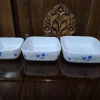 ظروف ارکوپال گل ابی