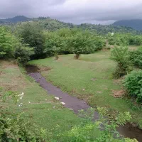 همسفر گیلان