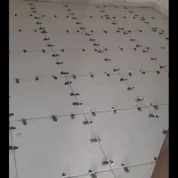 انجام کلیه کارهای ساختمانی|خدمات پیشه و مهارت|نورآباد, |دیوار