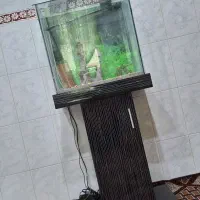 آکواریوم|ماهیگیری|فردیس, سرحدی|دیوار