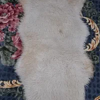 فروش بوق روتس اصلی و مانیتور|قطعات یدکی و لوازم جانبی|ایرانشهر, |دیوار