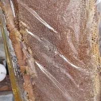 عسل|خوردنی و آشامیدنی|خلیفان, |دیوار