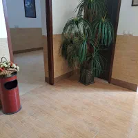 اجاره اتاق کار|اجارهٔ دفتر کار، اتاق اداری، مطب|شیراز, لاله|دیوار