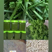 سبزی قرمه و ترش واش،پیاز سرخ کرده،دلار|خوردنی و آشامیدنی|لاهیجان, لاشیدان|دیوار