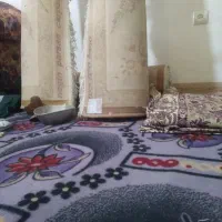 استخدام نظافت منزل مسکونی ترجیحا خانم جوان
