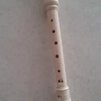 ریکوردر(فولوت )وتنبک