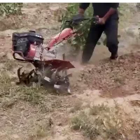 شخم زدن زمین زعفران با تیلر