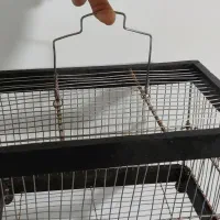 قفس دست ساز