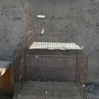۵ عدد جفت کنی کبوتر و ۲ عدد قفس قناری فروشی با هم|لوازم جانبی حیوانات|فردیس, سرحدی|دیوار
