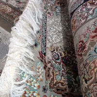 ۲ عدد قالی|فرش|گنبد کاووس, |دیوار