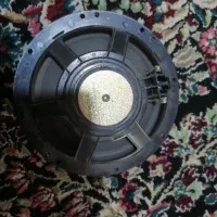باند در 206 206 رانا
