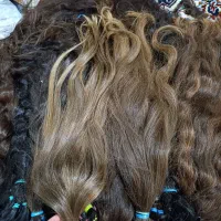 گیسو بلند