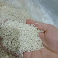 یک کیسه ۱۰کیلو برنج دانه بلند