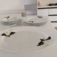 چینی زرین گل شیپوری