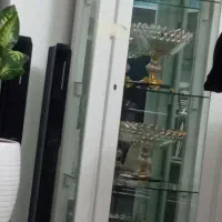 گنجه سفید سالم