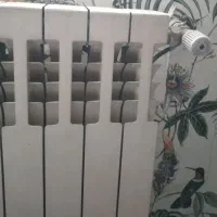 مغازه از شماوکار از ما الویت در سیدخندان وسهرودی