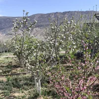 1000متر-زمین-ویلایی-قواره-دوم-نیایش