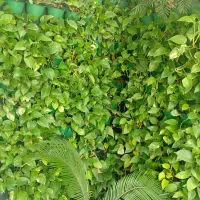 استخدام منشی خانم در املاک