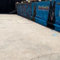 سرایدار و نظافت چی پانسیون