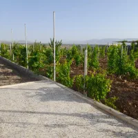 باغ فروشی معاوضه با ماشین|فروش خانه و ویلا|ابهر, |دیوار