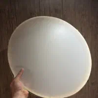 دف حبیبی اصل ، پوست طبیعی در حد نو + کاور