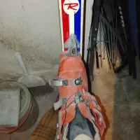 تخته اسنو برد اسکی