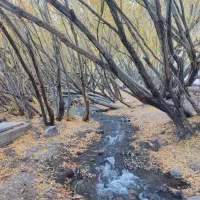 نیاز به بازاریاب