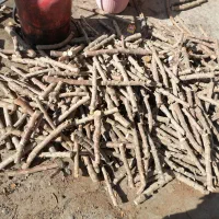 هیزم چوب اتش