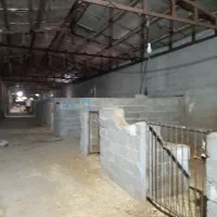 اجاره دامداری و اسطبل اسب