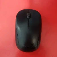 موس جنیوس سالم