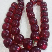 سندلوس آلمان درشت