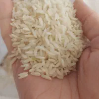برنج مامان (ممان) میانه خوش طعم،درجه یک