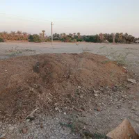 کود حیوانی|خدمات باغبانی و درختکاری|تخت, |دیوار