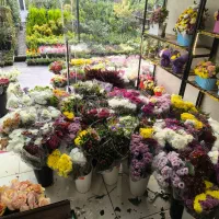 نیازمند کارگر ساده جهت کار در گلفروشی