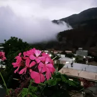 اجاره روزانه/هفتگی/ماهانه ویلا ۹۰ متری