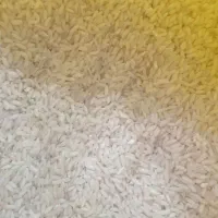 برنج عنبربو|خوردنی و آشامیدنی|دزفول, |دیوار