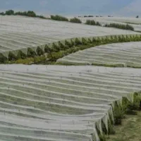 وکاور کشاورزی  فوم ضد سرمازدگی و ضد گرما زدگی|خدمات باغبانی و درختکاری|ارسنجان, |دیوار