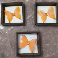 پروانه کادویی(طلا)|جواهرات|تهران, صادقیه|دیوار