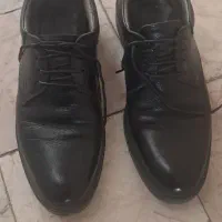 کفش چرم ( ۴۱)