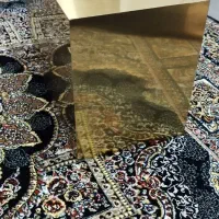 لونه پرنده طوطی برزیلی گیرینچیک هلندی|لوازم جانبی حیوانات|کرج, شهرک فهمیده|دیوار