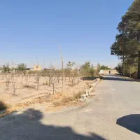 زمین شهرکی آینده دار|فروش زمین و ملک کلنگی|محمدشهر, محمدشهر|دیوار