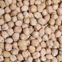 نخود تمیز و خوش پخت  به شرط