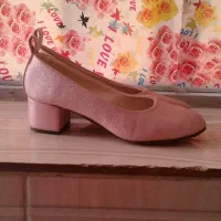 کفش مجلسی|کیف، کفش، کمربند|کرمان, |دیوار