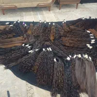 فروش و خریدار مو طبیعی