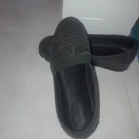 کفش زنانه|کیف، کفش، کمربند|بروجرد, |دیوار